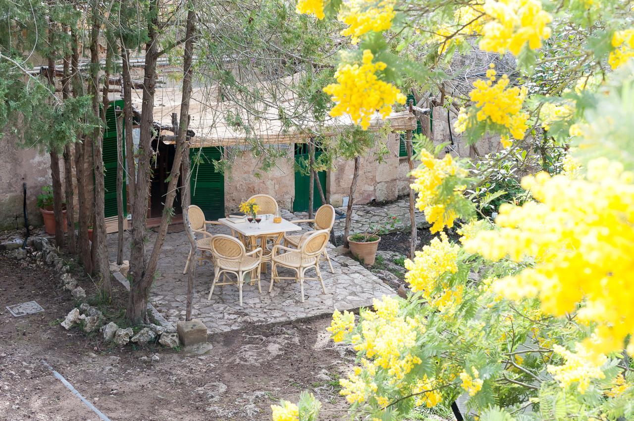 Sa Casa Rotja Villa ซีเนว ภายนอก รูปภาพ